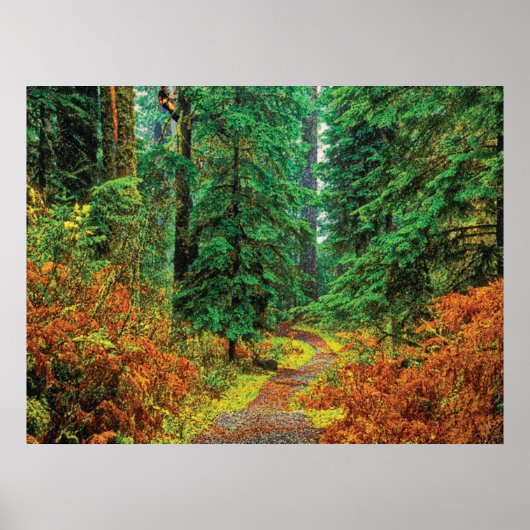 Autumn 31 cmyk poster (Voorkant)