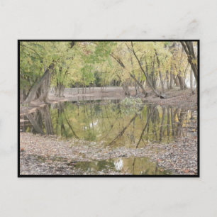 ~ Autumn ~ 38 Briefkaart