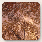 "Autumn Abstract" Cork Onderzetter set (Voorkant)