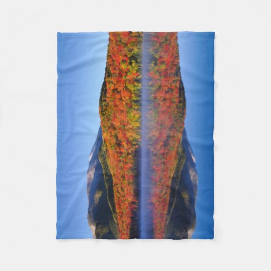 Autumn Adirondack Mountains | New York Fleece Deken (Voorkant)