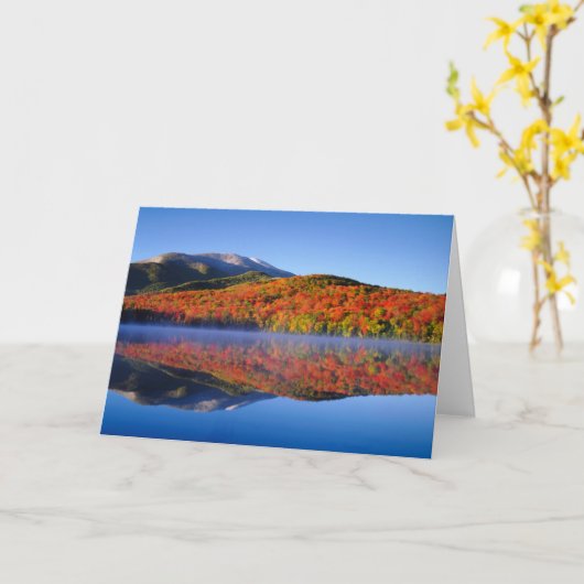 Autumn Adirondack Mountains | New York Kaart (Gele Bloem)