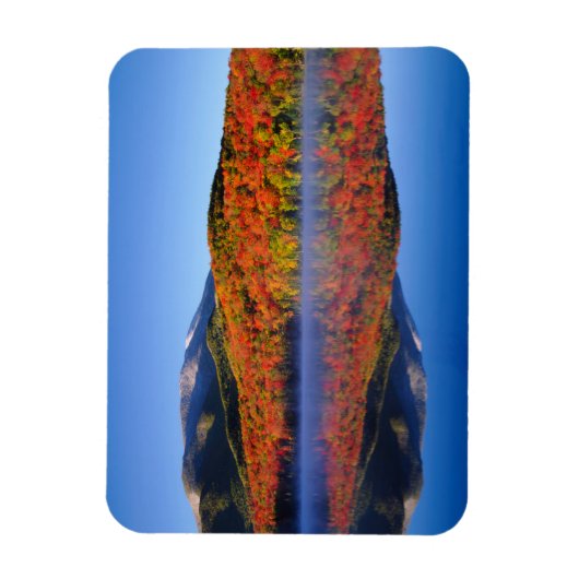 Autumn Adirondack Mountains | New York Magneet (Verticaal)