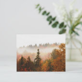 Autumn Adirondacks Trees Scene Landschap Briefkaart (Staand voorkant)