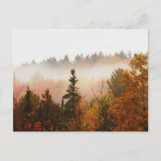 Autumn Adirondacks Trees Scene Landschap Briefkaart