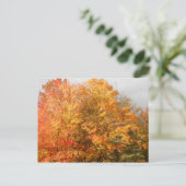 Autumn Adirondacks Trees Scene Landschap Briefkaart (Staand voorkant)