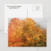 Autumn Adirondacks Trees Scene Landschap Briefkaart (Voorkant / Achterkant)