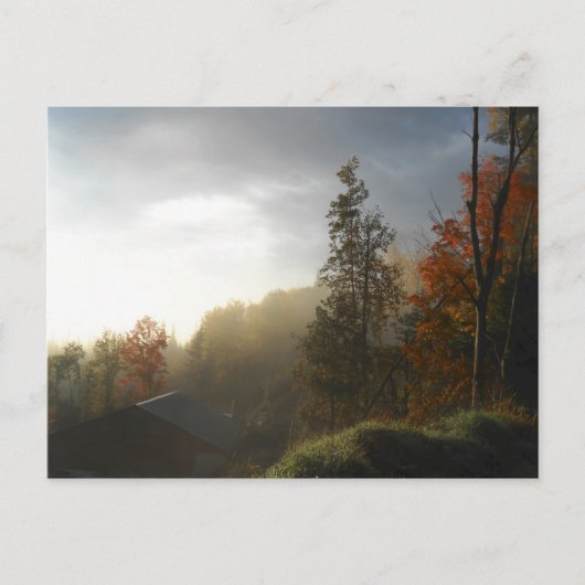 Autumn Adirondacks Trees Scene Landschap Briefkaart (Voorkant)