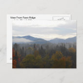 Autumn Adirondacks Trees Scene Landschap Briefkaart (Voorkant / Achterkant)