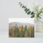 Autumn Adirondacks Trees Scene Landschap Briefkaart (Staand voorkant)