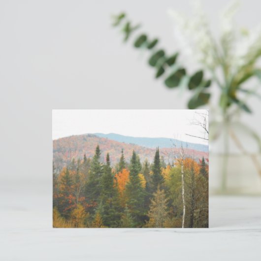 Autumn Adirondacks Trees Scene Landschap Briefkaart (Staand voorkant)