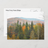 Autumn Adirondacks Trees Scene Landschap Briefkaart (Voorkant / Achterkant)