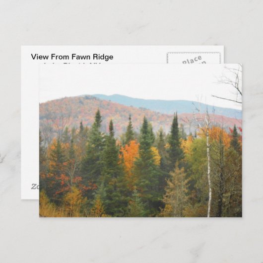 Autumn Adirondacks Trees Scene Landschap Briefkaart (Voorkant / Achterkant)