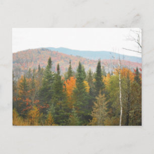 Autumn Adirondacks Trees Scene Landschap Briefkaart