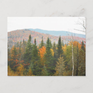 Autumn Adirondacks Trees Scene Landschap Briefkaart