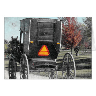 Autumn Amish Buggy