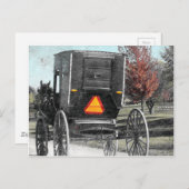 Autumn Amish Buggy Briefkaart (Voorkant / Achterkant)