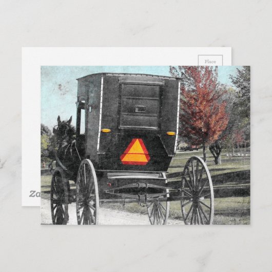 Autumn Amish Buggy Briefkaart (Voorkant / Achterkant)