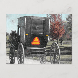 Autumn Amish Buggy Briefkaart