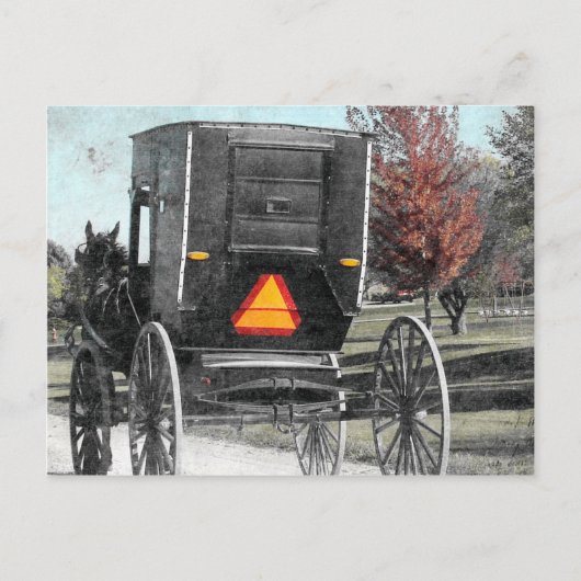 Autumn Amish Buggy Briefkaart (Voorkant)