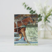 Autumn Amish Buggy Horse Briefkaart (Staand voorkant)