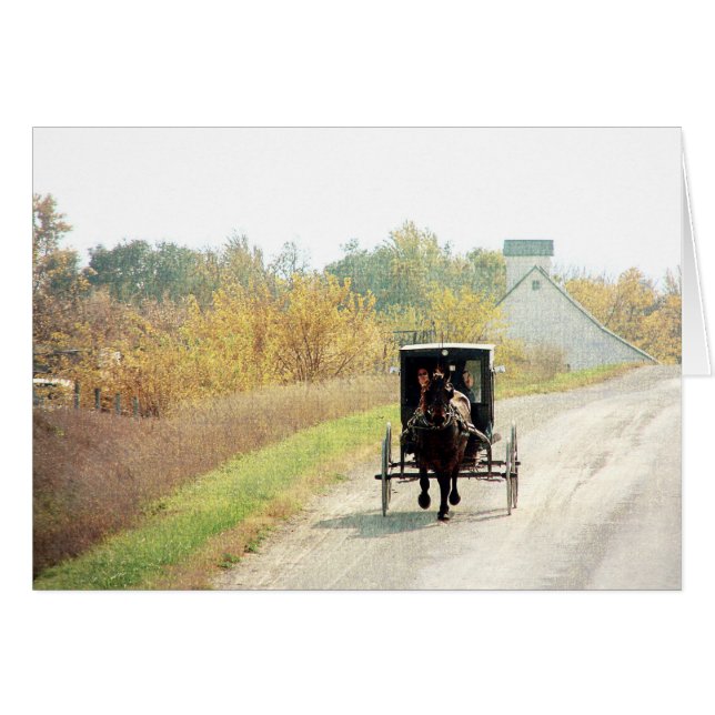 Autumn Amish Horse and Buggy (Voorkant Horizontaal)