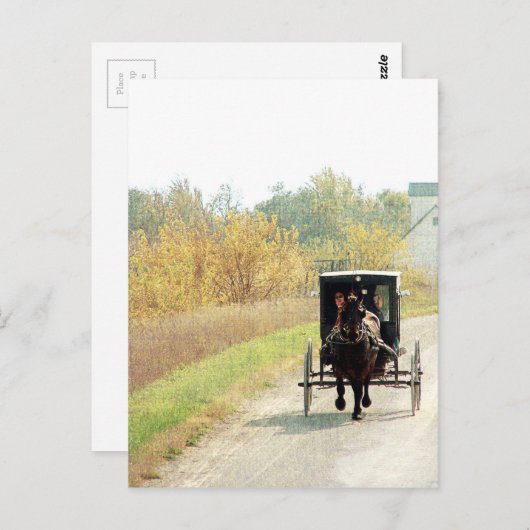Autumn Amish Horse and Buggy Briefkaart (Voorkant / Achterkant)
