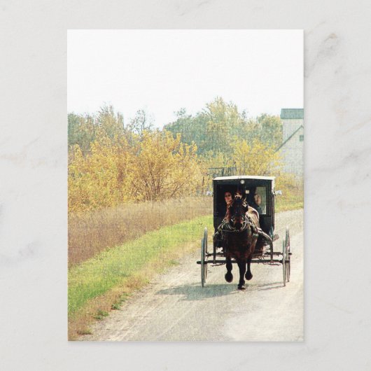 Autumn Amish Horse and Buggy Briefkaart (Voorkant)
