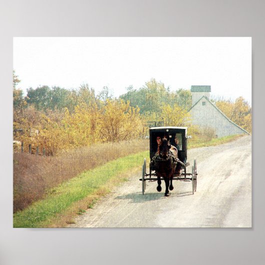 Autumn Amish Horse and Buggy Poster (Voorkant)