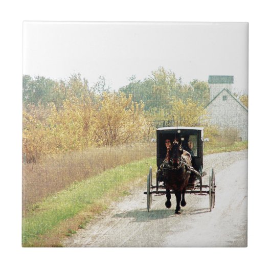 Autumn Amish Horse and Buggy Tegeltje (Voorkant)