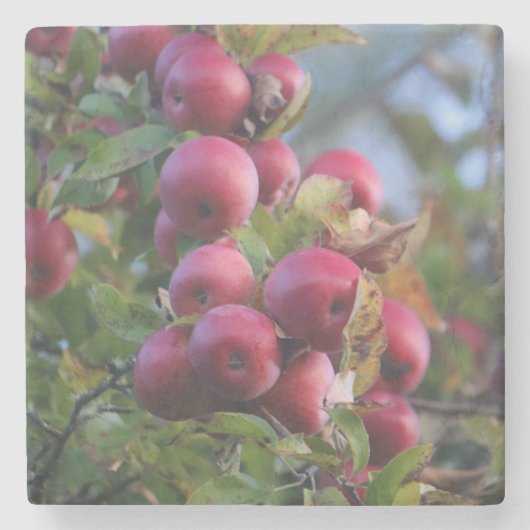 Autumn Apple Stenen Onderzetter (Voorkant)