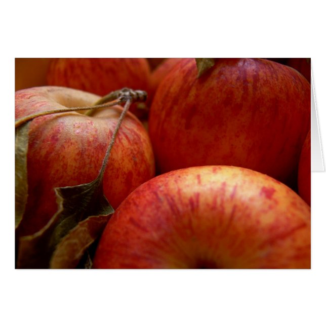 Autumn Apples (Voorkant Horizontaal)