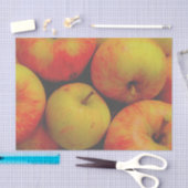 Autumn Apples Tissuepapier (Craft)