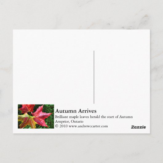 Autumn Arrives Briefkaart (Achterkant)