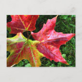 Autumn Arrives Briefkaart (Voorkant)