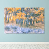 Autumn Aspen Canvas Afdruk (Insitu (Houten vloer))