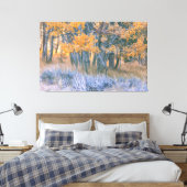 Autumn Aspen Canvas Afdruk (Insitu (Slaapkamer))