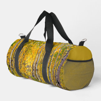 Autumn Aspen Forest–Kenosha to Breckenridge Trail Plunjezak