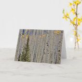 Autumn Aspen Groves | Rocky Mountains Colorado Kaart (Gele Bloem)