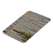 Autumn Aspen Groves | Rocky Mountains Colorado Magneet (Linkerzijde)