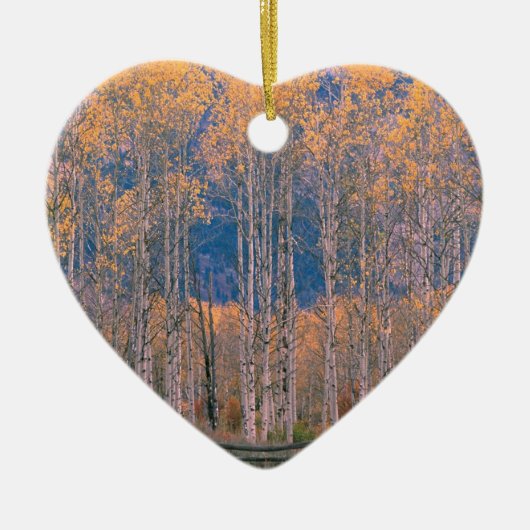 Autumn Aspen Splendor Jackson Hole Wyoming Keramisch Ornament (Voorkant)