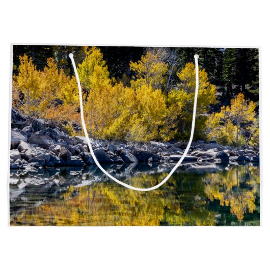 Autumn Aspen Trees, Herfst, grote cadeautas (Achterkant)