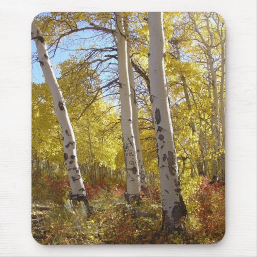 Autumn Aspen Trees Mountain Splendor Muismat (Voorkant)