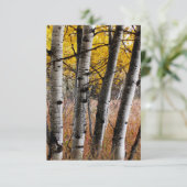 Autumn Aspens - Blank-briefkaart RSVP Kaartje (Staand voorkant)