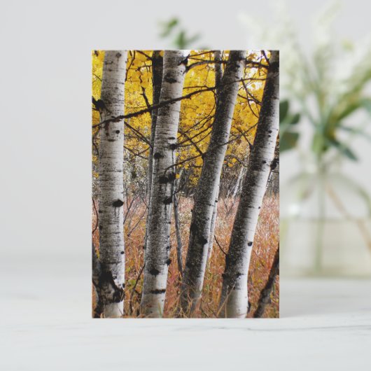 Autumn Aspens - Blank-briefkaart RSVP Kaartje (Staand voorkant)