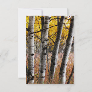 Autumn Aspens - Blank-briefkaart RSVP Kaartje