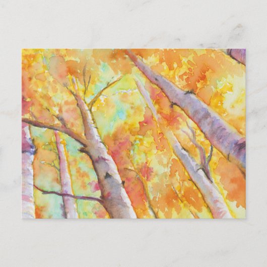 Autumn Aspens Briefkaart (Voorkant)