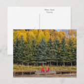 Autumn Aspens Briefkaart (Voorkant / Achterkant)