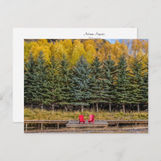 Autumn Aspens Briefkaart (Voorkant / Achterkant)