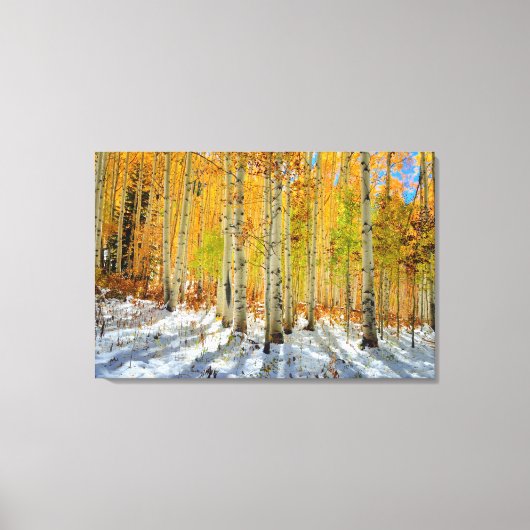 Autumn Aspens Canvas Afdruk (Voorkant)
