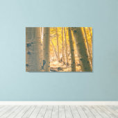 Autumn Aspens Canvas Afdruk (Insitu (Houten vloer))